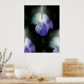 Poster Pansies (Cuisine)