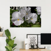 Poster Pansies blanches (Bureau à domicile)