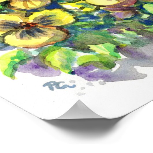 Poster Pansies de ressort (Coin)