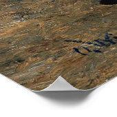 Poster Pansies et papillons, Wisinger (Coin)