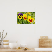 Poster Pansies jaunes fleurs (Cuisine)