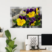 Poster Pansies jaunes violets (Bureau à domicile)