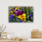 Poster Pansies lumineuses (Cuisine)