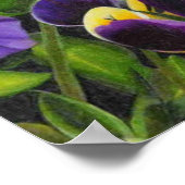 Poster Pansies, "Purple Pansies" par Jenny Koch (Coin)