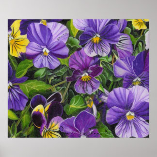 Poster Pansies, "Purple Pansies" par Jenny Koch