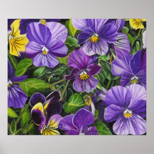 Poster Pansies, "Purple Pansies" par Jenny Koch (Devant)