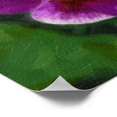 Poster Pansies violettes (Coin)