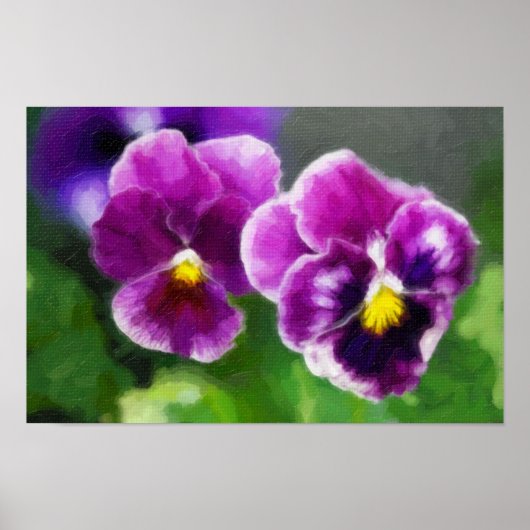 Poster Pansies violettes (Devant)