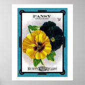 Poster Pansy (Devant)