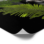 Poster Panther à Foliage. (Coin)