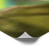 Poster Panther Chameleon, Madagascar (Coin)