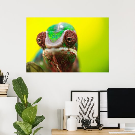 Poster Panther Chameleon, Madagascar (Bureau à domicile)