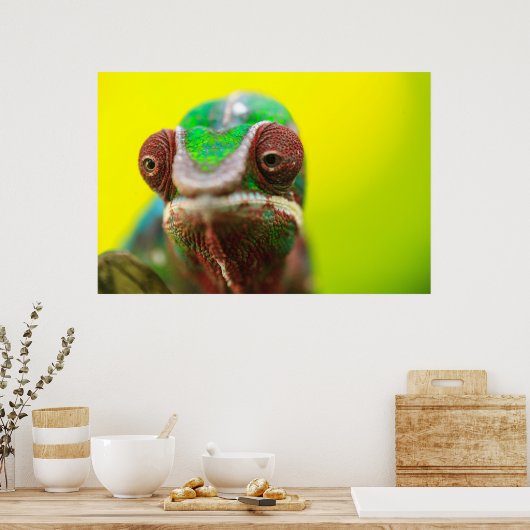 Poster Panther Chameleon, Madagascar (Cuisine)