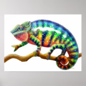 Poster Panthère colorée Chameleon Imprimer (Devant)