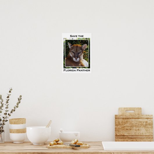 Poster Panthère de Floride (Cuisine)