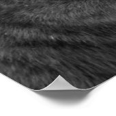 Poster panthère noir (Coin)