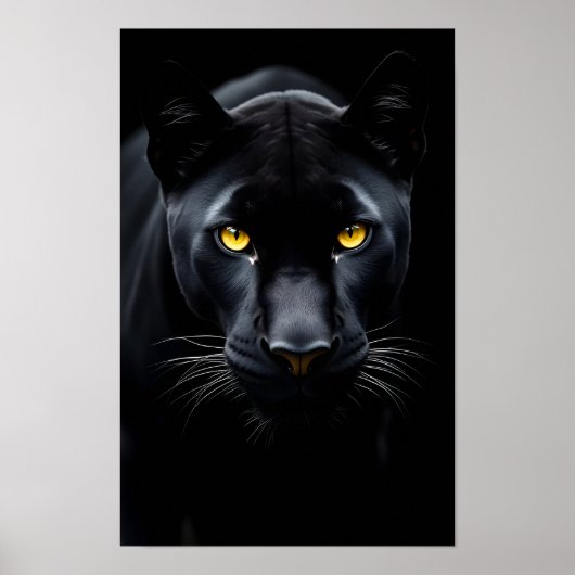 Poster Panthère noire (Devant)