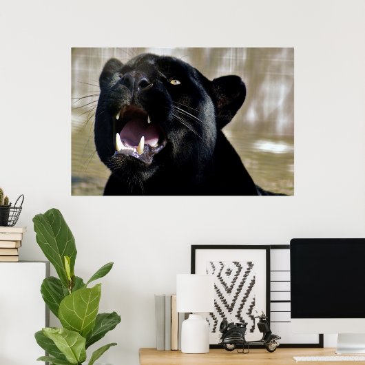 Poster Panthère noire (Bureau à domicile)