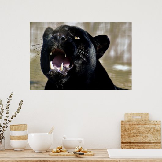 Poster Panthère noire (Cuisine)