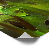 Poster Panthère noire (4) Chat sauvage (Coin)