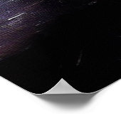 Poster Panthère noire (7) Chat sauvage (Coin)