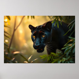 Poster Panthère noire sauvage Jungle léopard Big Cat