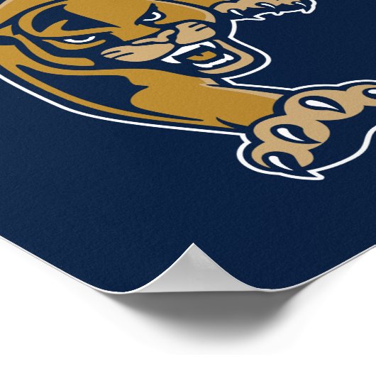 Poster Panthers de la FIU (Coin)