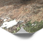 Poster Panzer de ravitaillement (Coin)