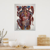 Poster Paolo Mascagni Illustration de Viscères Humaines (Cuisine)