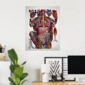 Poster Paolo Mascagni Illustration de Viscères Humaines (Bureau à domicile)