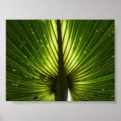 Poster "Paon" (Devant)