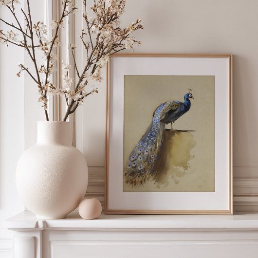 Poster Paon | Archibald Thorburn