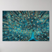 Poster paon bleu avec queue dépliée (Devant)