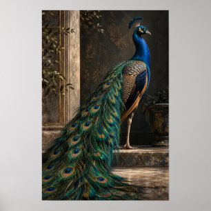 Poster Paon bleu avec queue iridescente dans un cadre cla