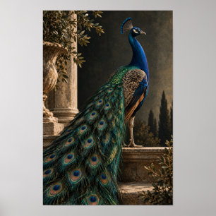 Poster Paon bleu avec queue iridescente dans un cadre cla