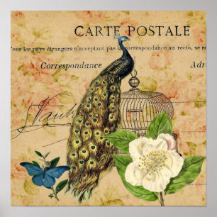 Poster paon botanique français de cru de cage à oiseaux