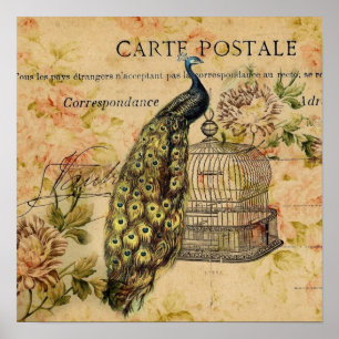 Poster paon botanique français de cru de nouveau d'art