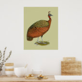 Poster Paon : Congo Peahen (Cuisine)
