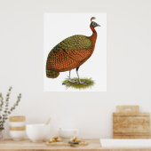 Poster Paon : Congo Peahen (Cuisine)