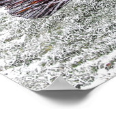 Poster Paon en osier givré (Coin)