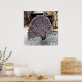 Poster Paon en osier givré (Cuisine)