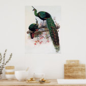 Poster Paon vert, Pavo muticus, 1872 monographie de Pha (Cuisine)