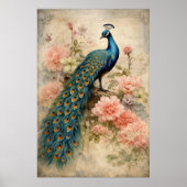 Poster Paon Vintage (Devant)