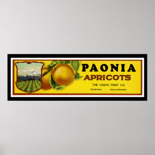Poster Paonia Apricots Art Étiquette