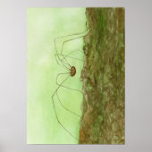 Poster Papa Long Jambes (Devant)