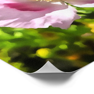 Poster Papaver Somniferum Pink Poppy Art