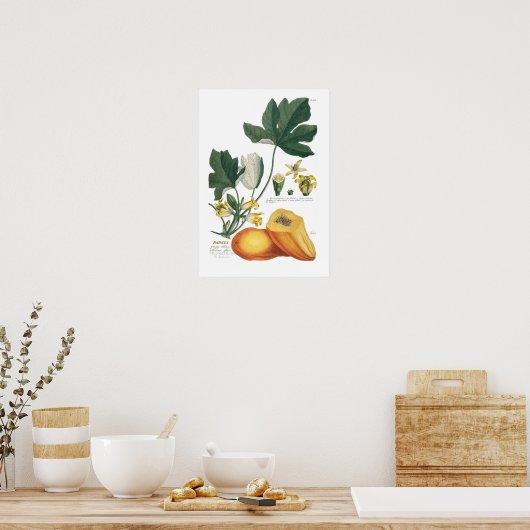 Poster Papaya (Cuisine)