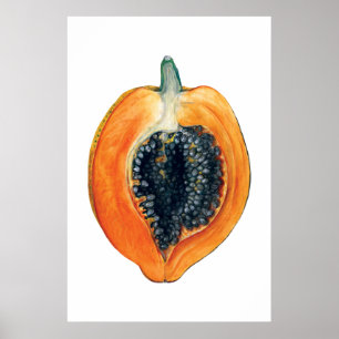 Poster PAPAYA imprimé orange de fruits botaniques