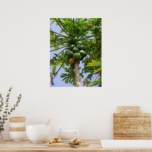 Poster Papaya Tree (Cuisine)