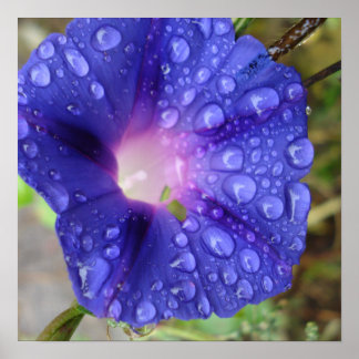 Poster Papeterie et art